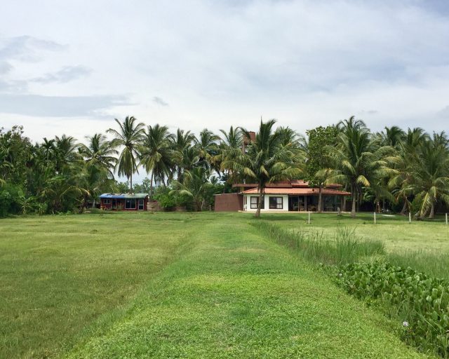 photo0jpg-1